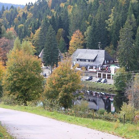 Klosterweiherhof Dachsberg im Schwarzwald Экстерьер фото