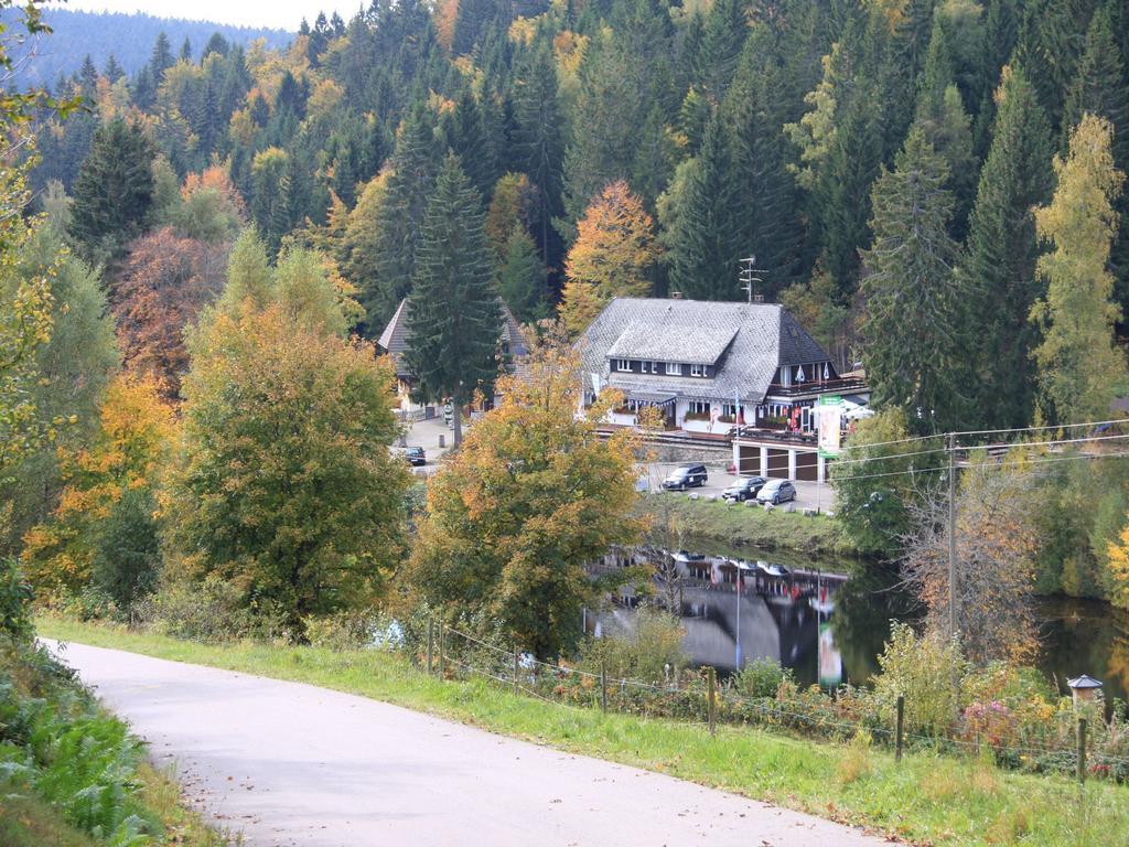Klosterweiherhof Dachsberg im Schwarzwald Экстерьер фото