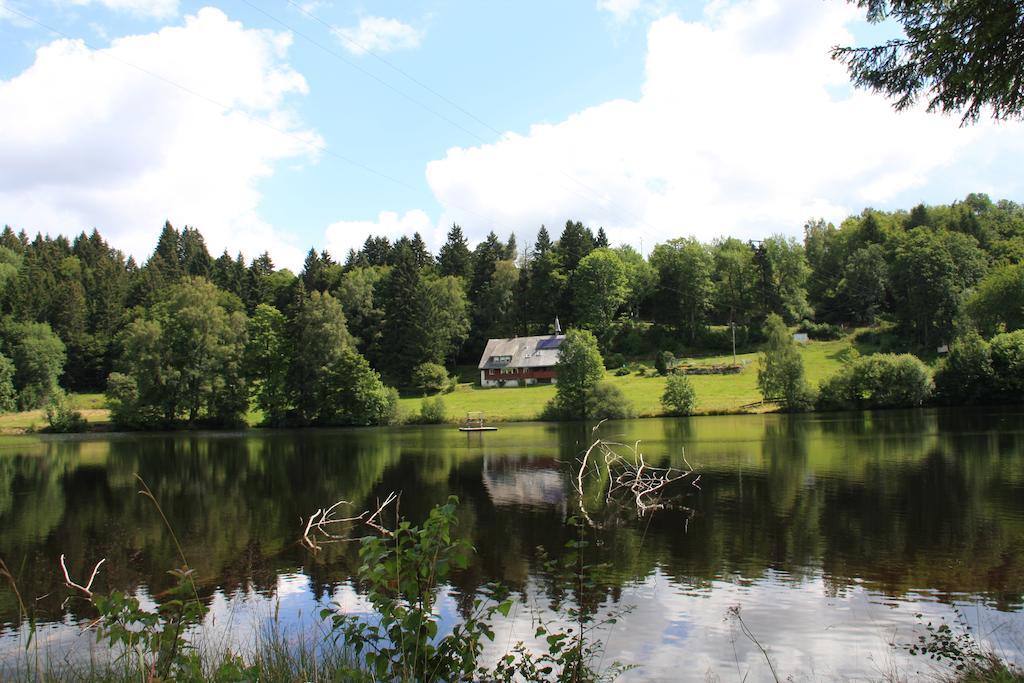 Klosterweiherhof Dachsberg im Schwarzwald Экстерьер фото